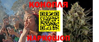 мяу мяу мука Гусь-Хрустальный