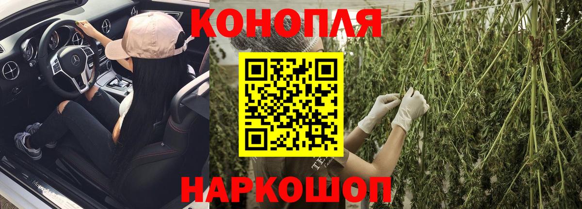 Каннабис конопля Кореновск